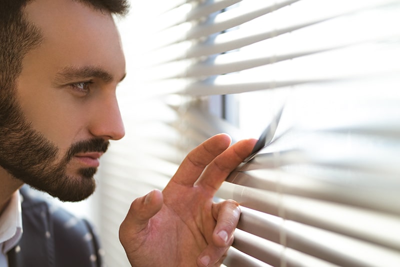 Ventajas Funcionales: Más que Simple Decoración