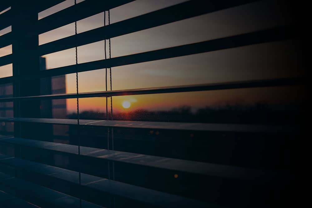 Opciones Ecológicas: Compromiso con la Sostenibilidad